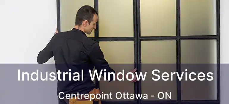  Industrial Window Services Centrepoint Ottawa - ON