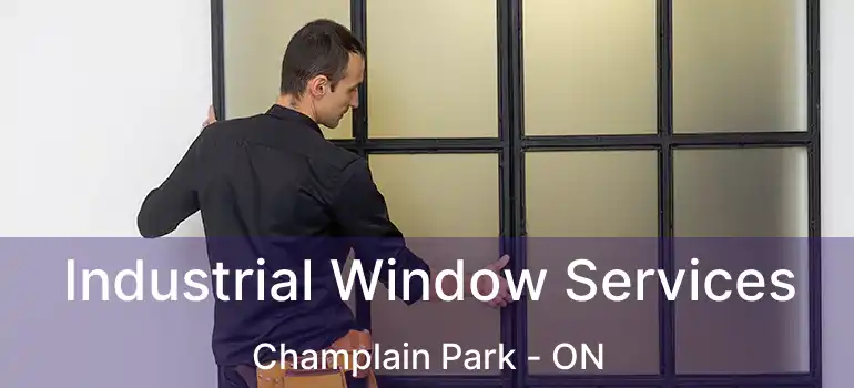  Industrial Window Services Champlain Park - ON