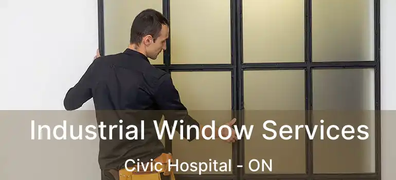  Industrial Window Services Civic Hospital - ON