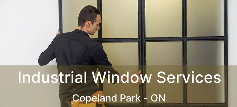  Industrial Window Services Copeland Park - ON