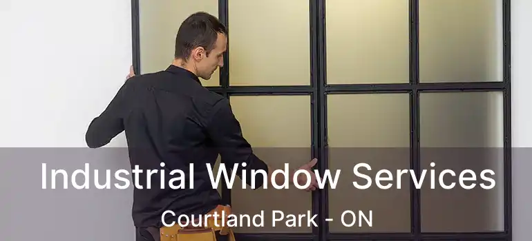  Industrial Window Services Courtland Park - ON