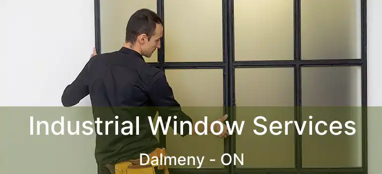  Industrial Window Services Dalmeny - ON