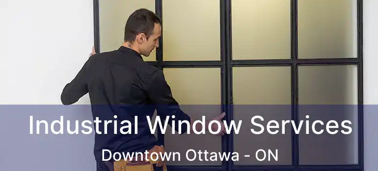  Industrial Window Services Downtown Ottawa - ON