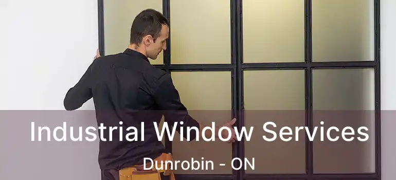  Industrial Window Services Dunrobin - ON