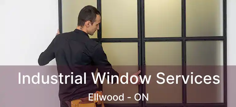  Industrial Window Services Ellwood - ON