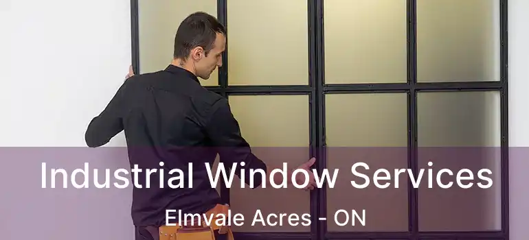  Industrial Window Services Elmvale Acres - ON