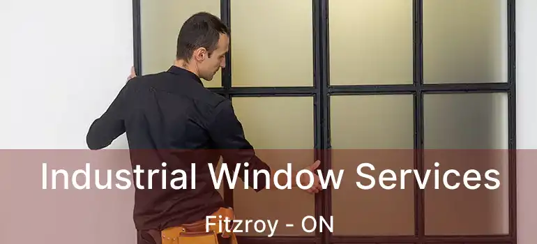  Industrial Window Services Fitzroy - ON