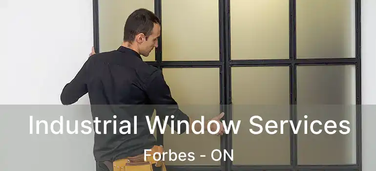  Industrial Window Services Forbes - ON