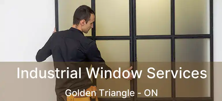  Industrial Window Services Golden Triangle - ON