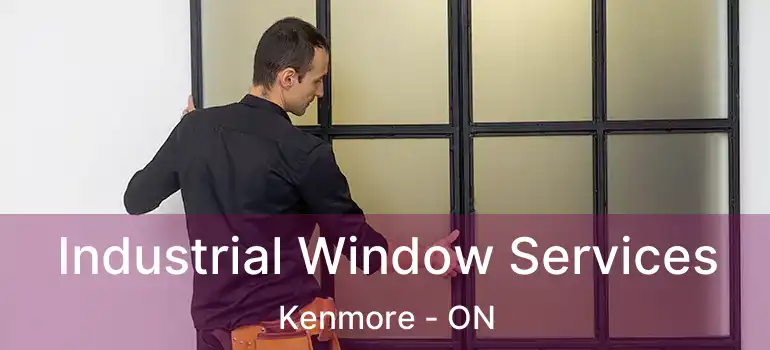  Industrial Window Services Kenmore - ON