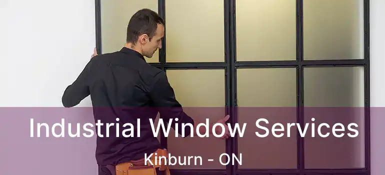  Industrial Window Services Kinburn - ON