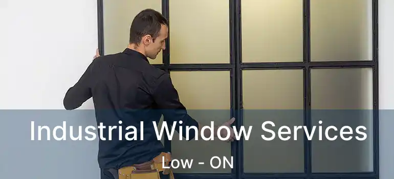  Industrial Window Services Low - ON