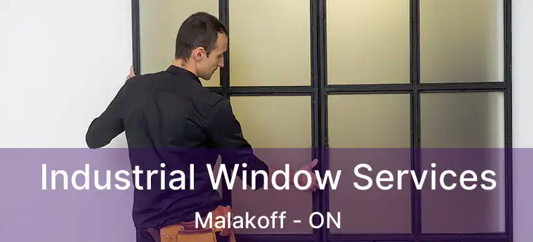  Industrial Window Services Malakoff - ON