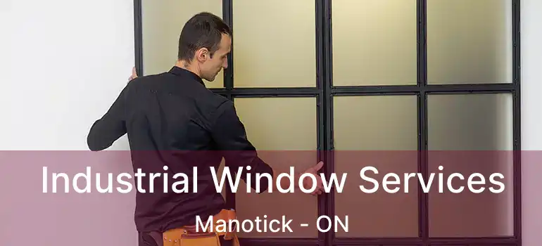  Industrial Window Services Manotick - ON