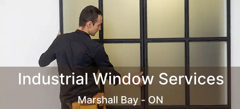  Industrial Window Services Marshall Bay - ON