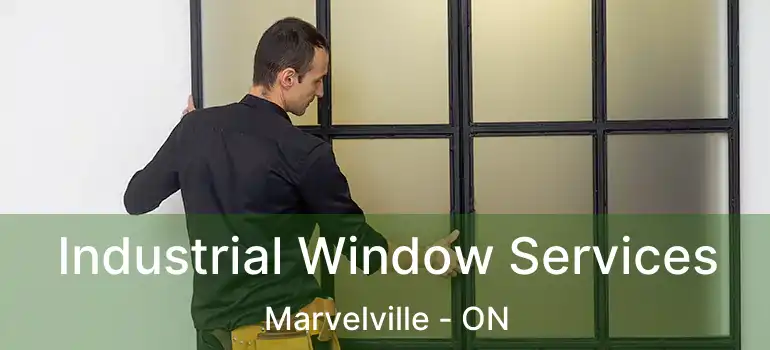  Industrial Window Services Marvelville - ON