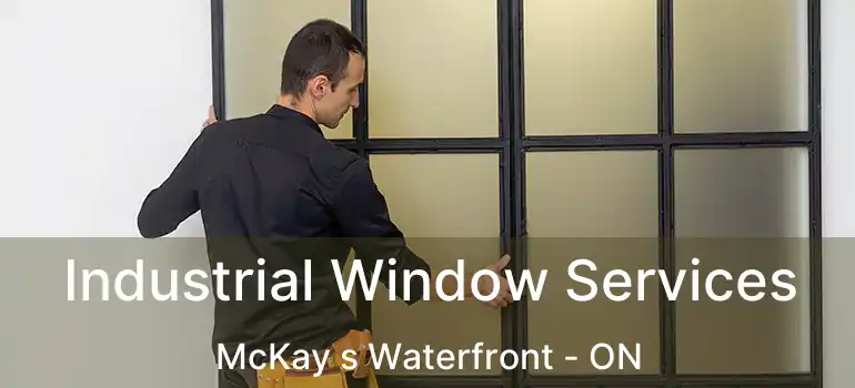  Industrial Window Services McKay s Waterfront - ON