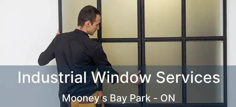  Industrial Window Services Mooney s Bay Park - ON