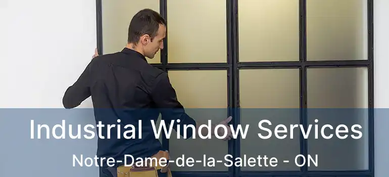  Industrial Window Services Notre-Dame-de-la-Salette - ON