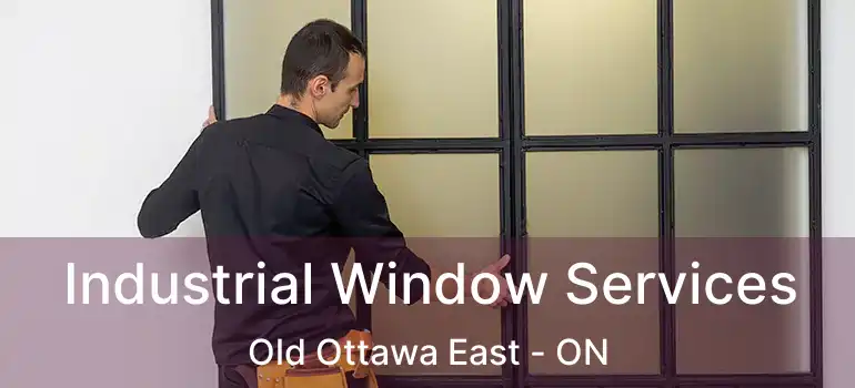  Industrial Window Services Old Ottawa East - ON