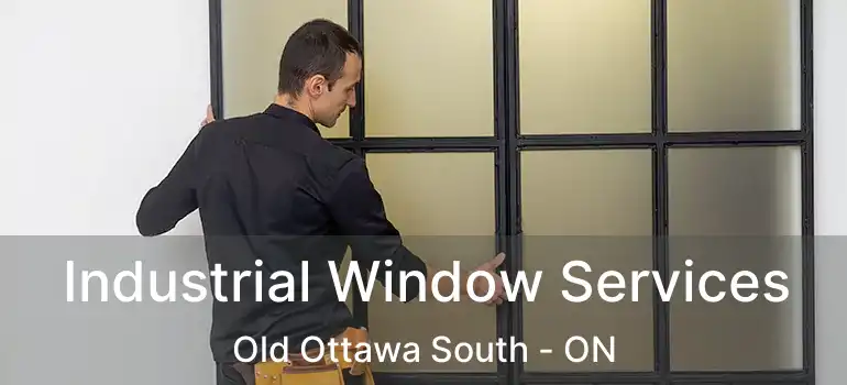  Industrial Window Services Old Ottawa South - ON