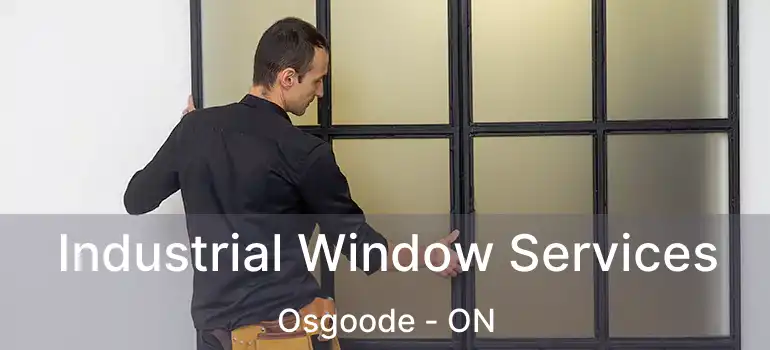  Industrial Window Services Osgoode - ON