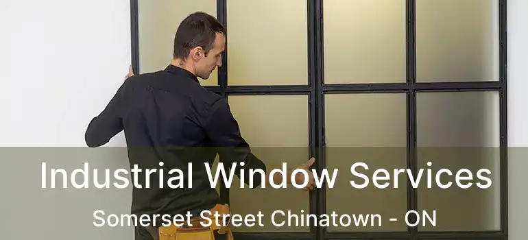  Industrial Window Services Somerset Street Chinatown - ON