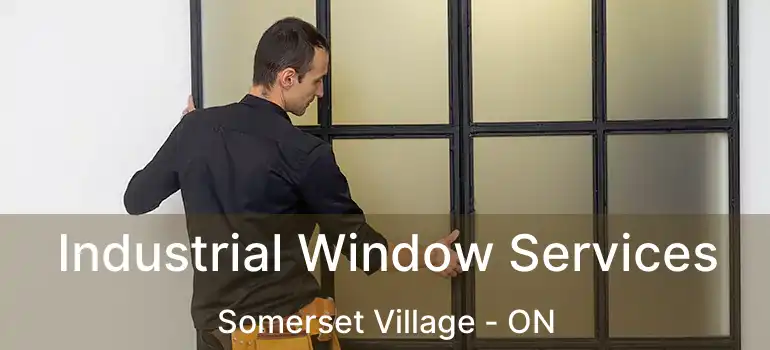  Industrial Window Services Somerset Village - ON