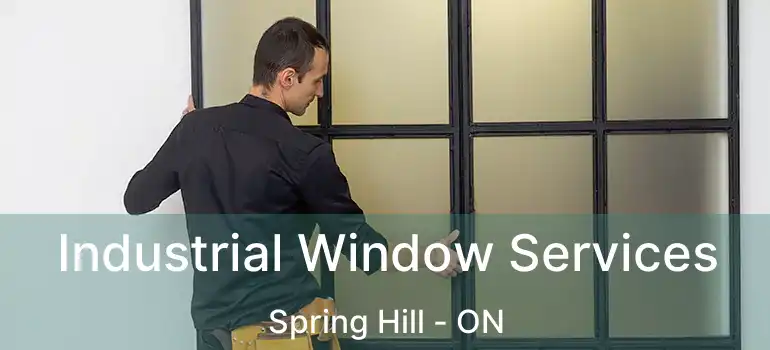  Industrial Window Services Spring Hill - ON