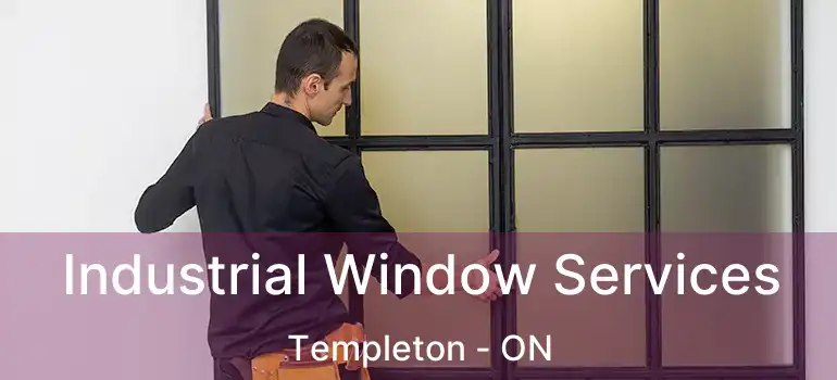  Industrial Window Services Templeton - ON