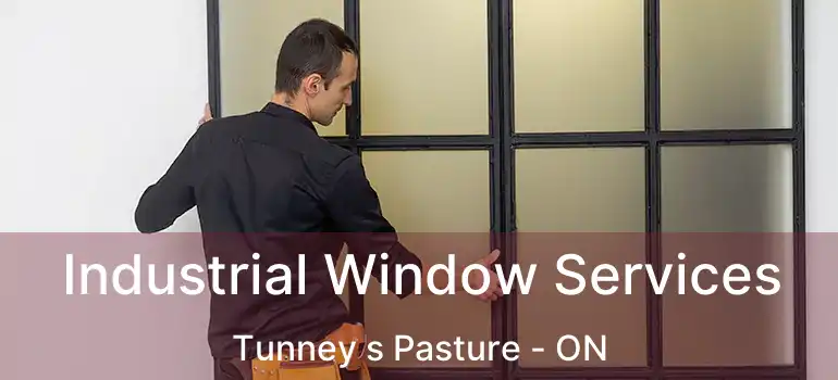  Industrial Window Services Tunney s Pasture - ON