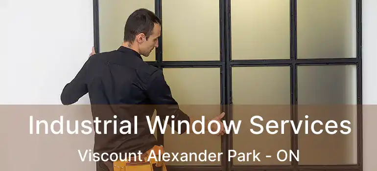  Industrial Window Services Viscount Alexander Park - ON