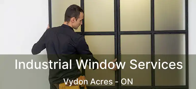  Industrial Window Services Vydon Acres - ON