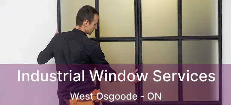  Industrial Window Services West Osgoode - ON