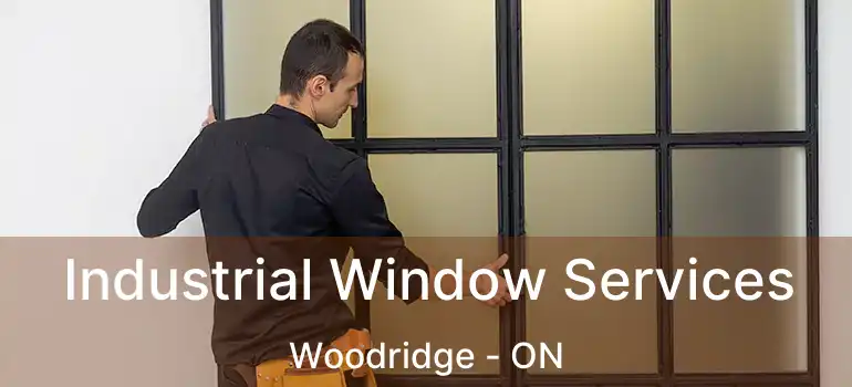  Industrial Window Services Woodridge - ON