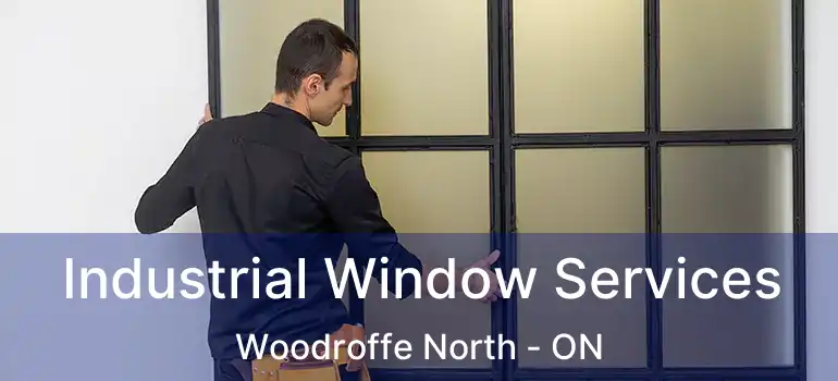  Industrial Window Services Woodroffe North - ON