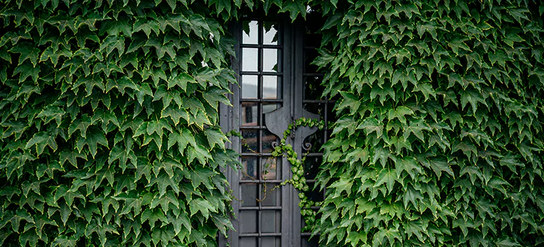 Garden Gate Repair in Elmvale Acres, ON