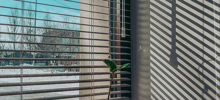 Commercial Window Blinds in Ottawa, ON