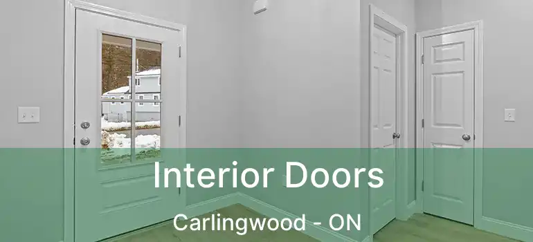  Interior Doors Carlingwood - ON