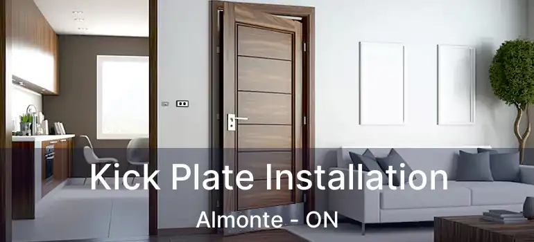  Kick Plate Installation Almonte - ON