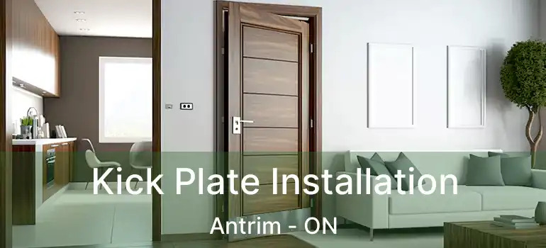  Kick Plate Installation Antrim - ON