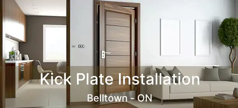  Kick Plate Installation Belltown - ON