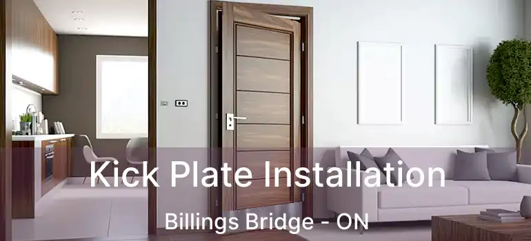  Kick Plate Installation Billings Bridge - ON