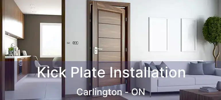  Kick Plate Installation Carlington - ON