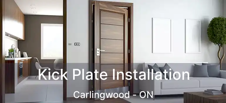  Kick Plate Installation Carlingwood - ON