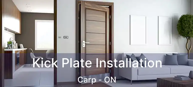  Kick Plate Installation Carp - ON