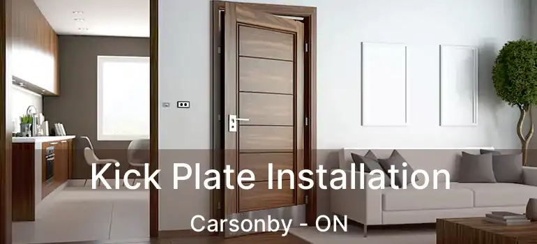  Kick Plate Installation Carsonby - ON