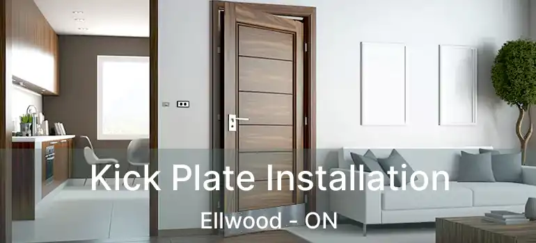  Kick Plate Installation Ellwood - ON