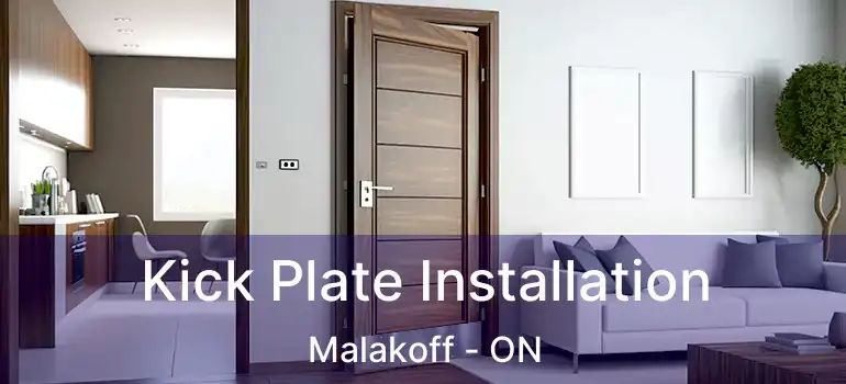  Kick Plate Installation Malakoff - ON