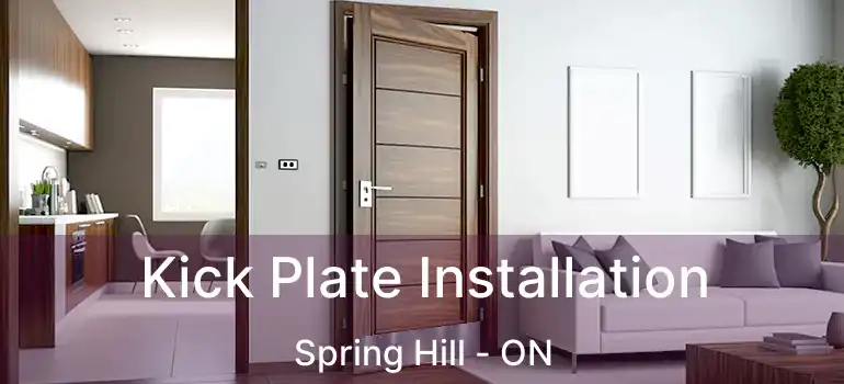  Kick Plate Installation Spring Hill - ON